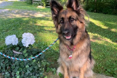 Kaia