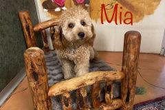 Mia