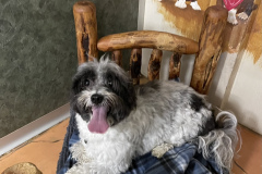 Milo