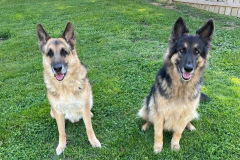 Sweethearts