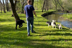 Trail-Walk