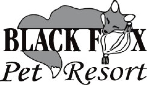 Black Fox Pet Resort